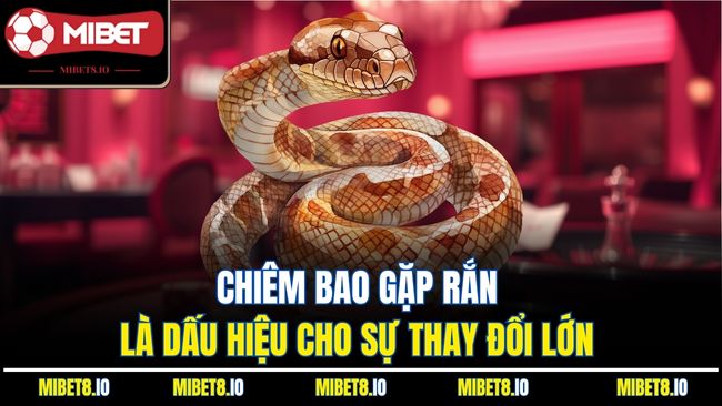 Chiêm bao gặp rắn là dấu hiệu cho sự thay đổi lớn 