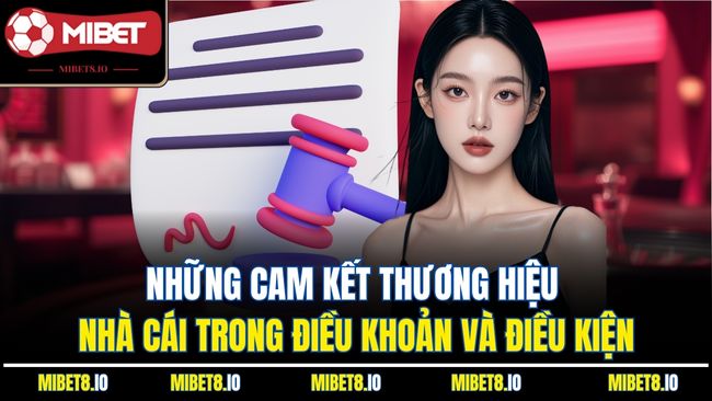 Những cam kết thương hiệu nhà cái trong điều khoản và điều kiện